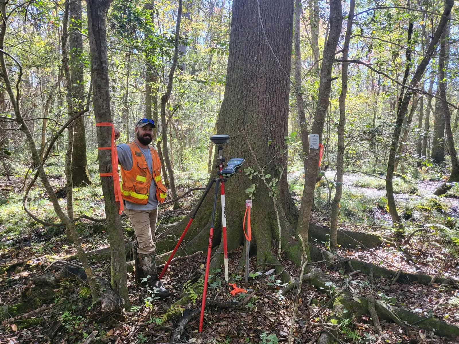 Recovering evidence at an old boundary tree