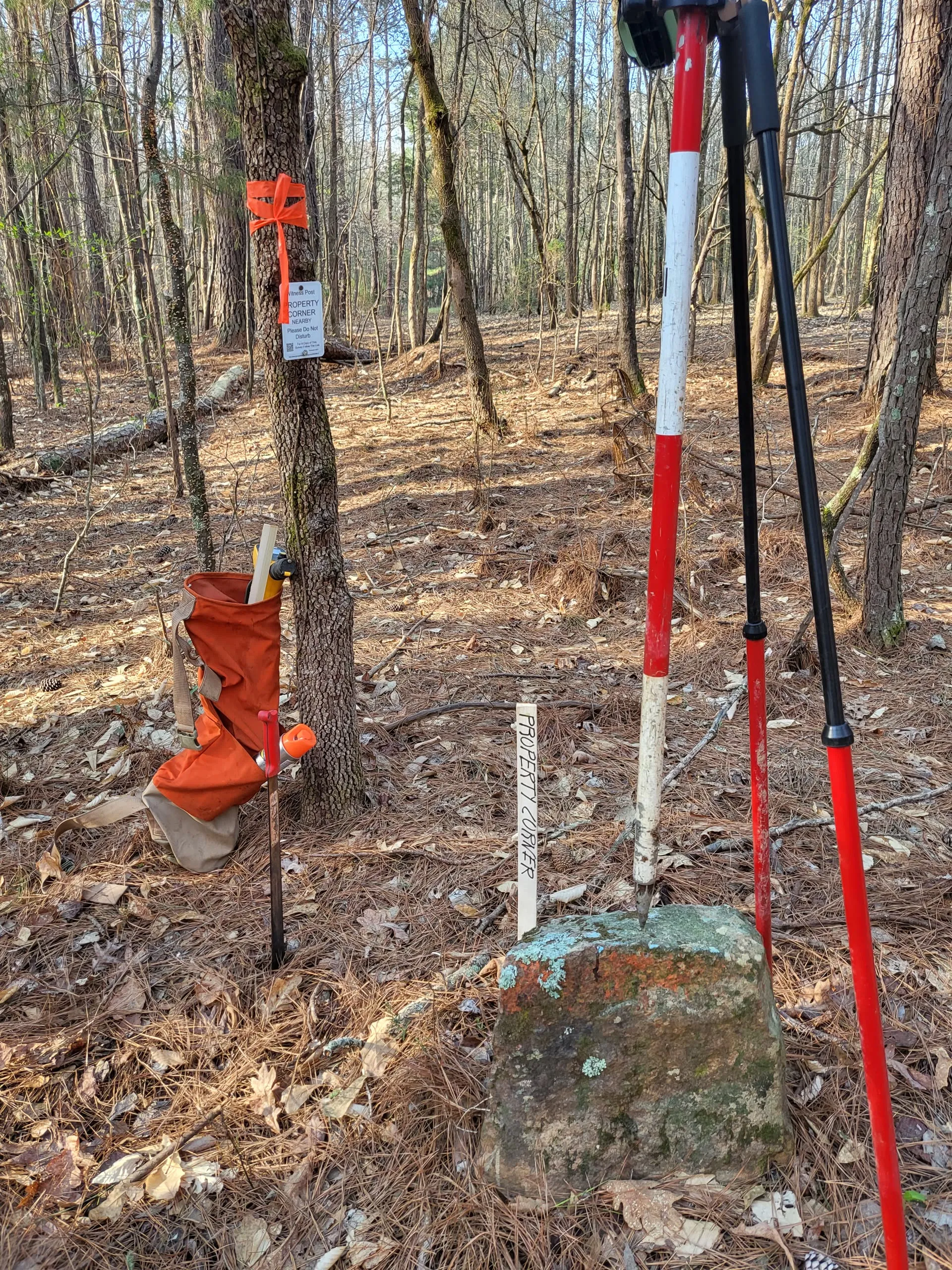 Prism poles and flagging marking recovered boundary evidence deep in the woods